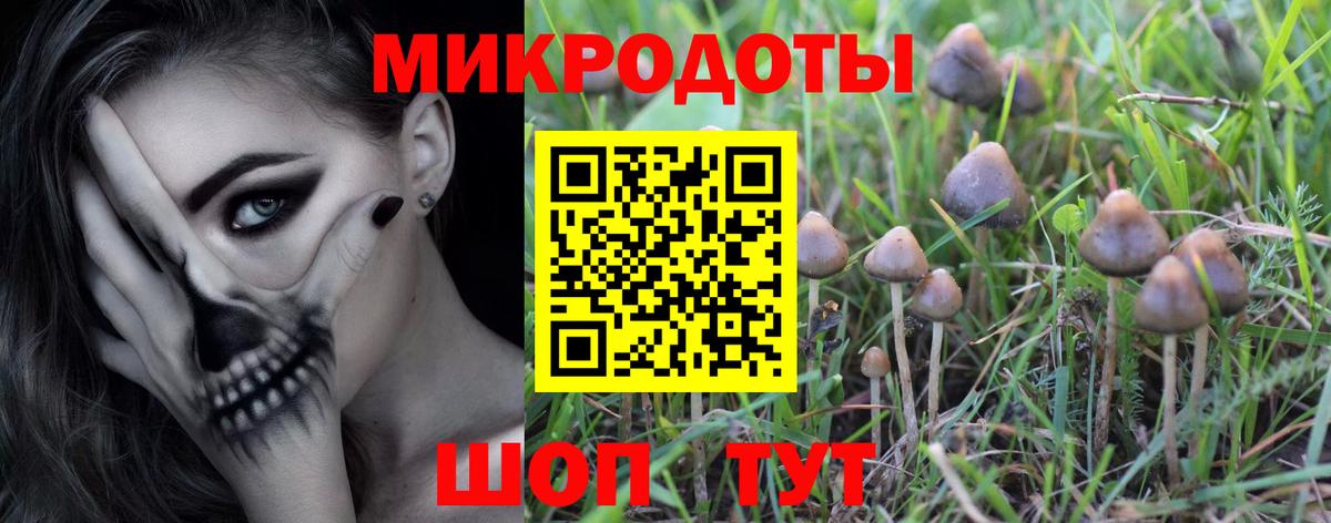 Галлюциногенные грибы Magic Shrooms Южно-Сахалинск